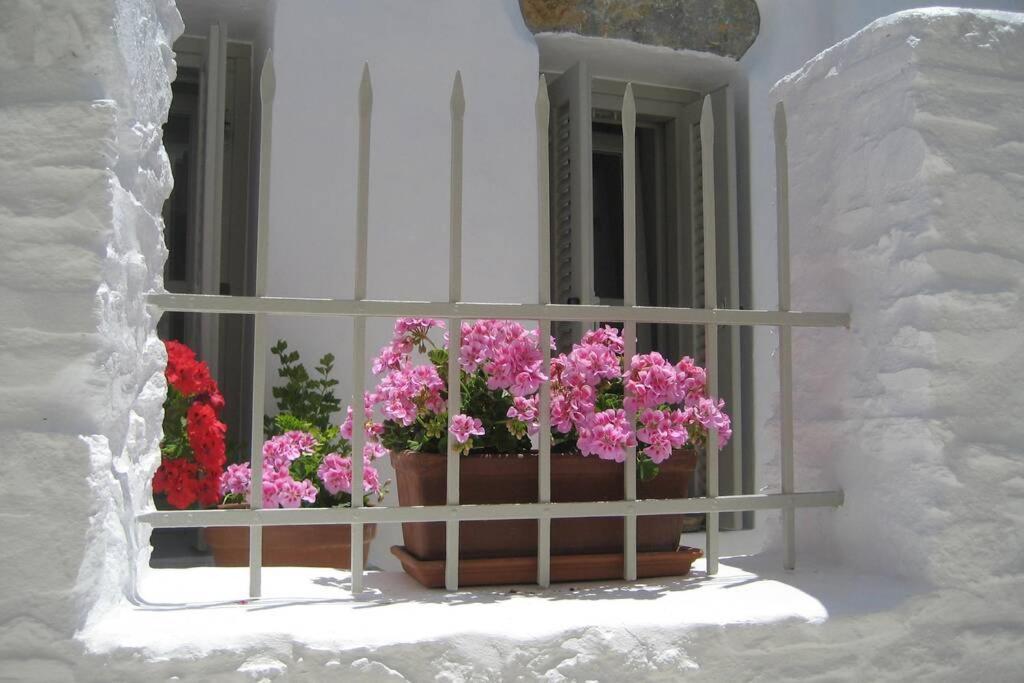 Chora Elegant Traditional House Αμοργός Εξωτερικό φωτογραφία